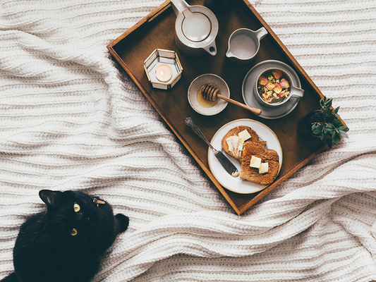 Is Your Cat Always Begging for Food and Waking You Up for Breakfast?