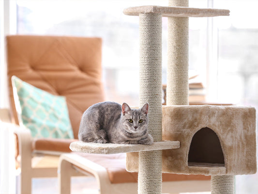 DIY Cat Tree - A Fun Project for You & Your Feline Friend