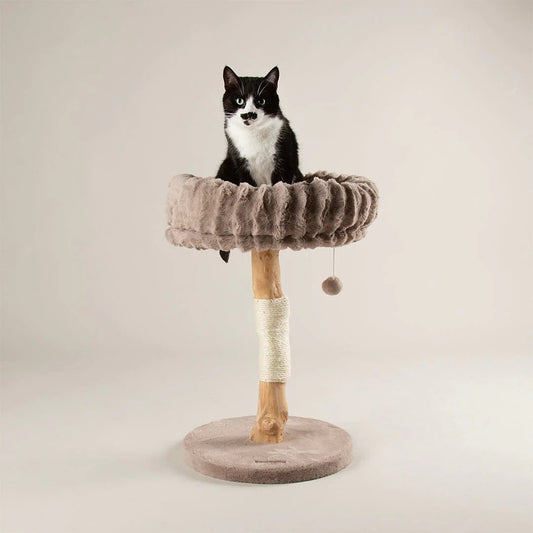 Scruffs Alpine Appalachians Cat Tree - Taupe
