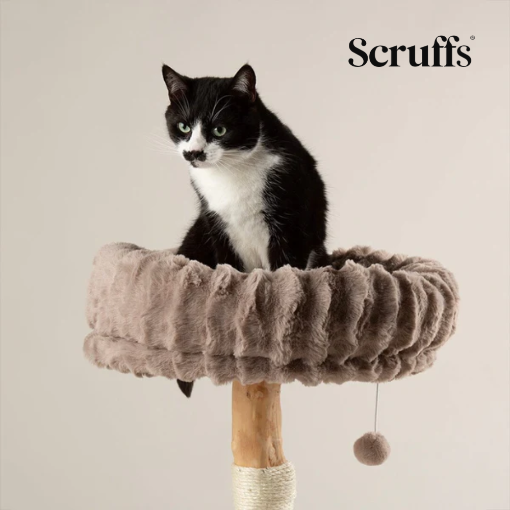 Scruffs Alpine Appalachians Cat Tree - Taupe