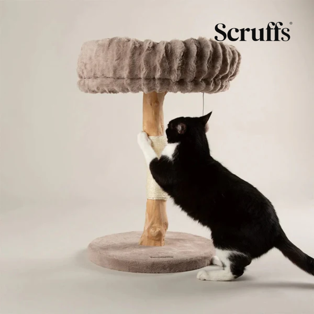 Scruffs Alpine Appalachians Cat Tree - Taupe