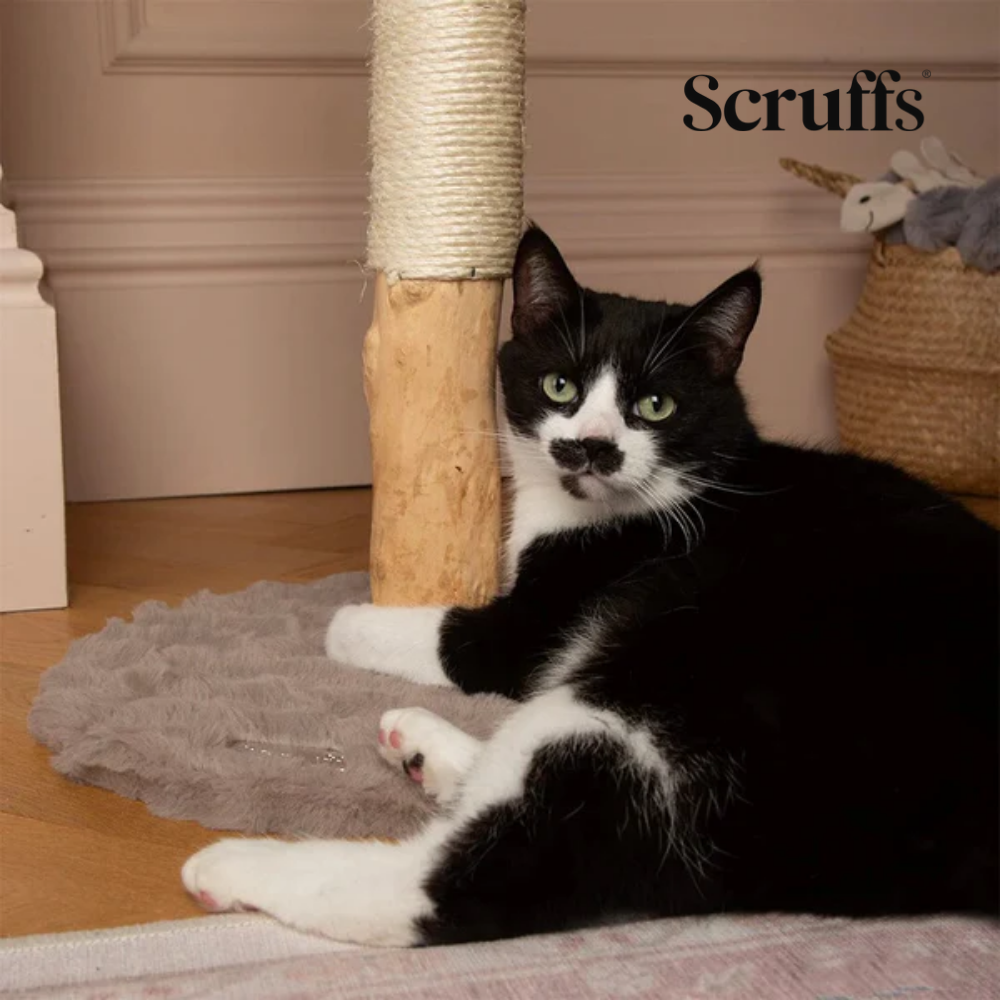 Scruffs Rockies Cat Scratching Tree - Taupe